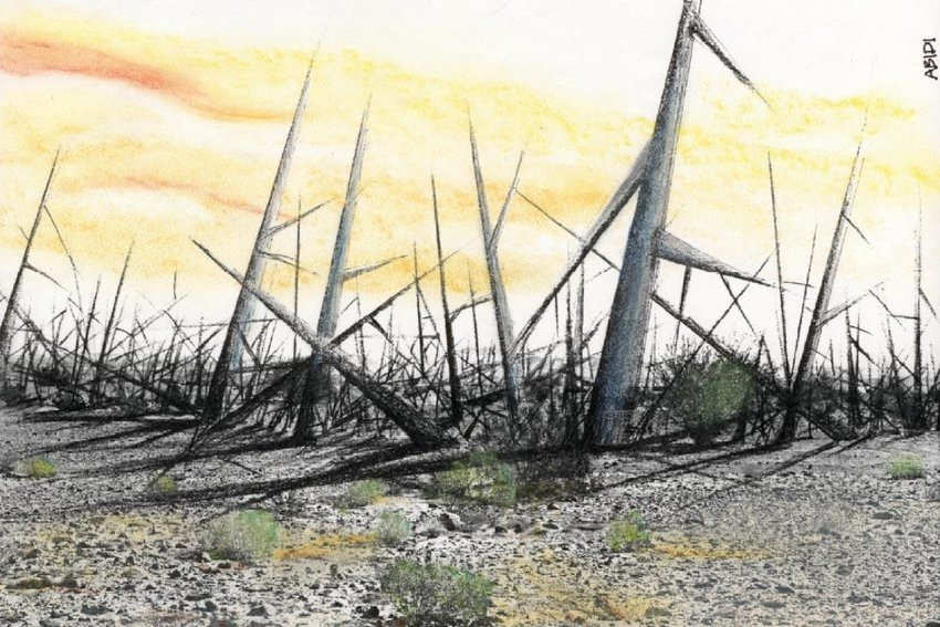 drawing of the landscape of thorns